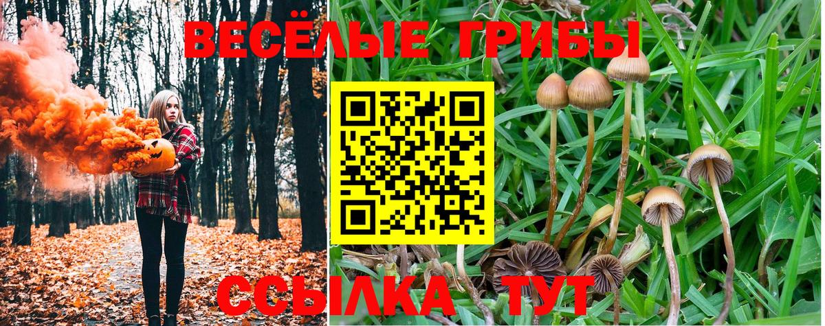 Псилоцибиновые грибы мицелий  Псилоцибиновые грибы GOLDEN TEACHER  купить закладку  Вход с VPN  Ярцево 